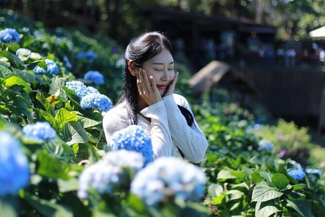 Exclusive Northern Thailand Tours - FAQ