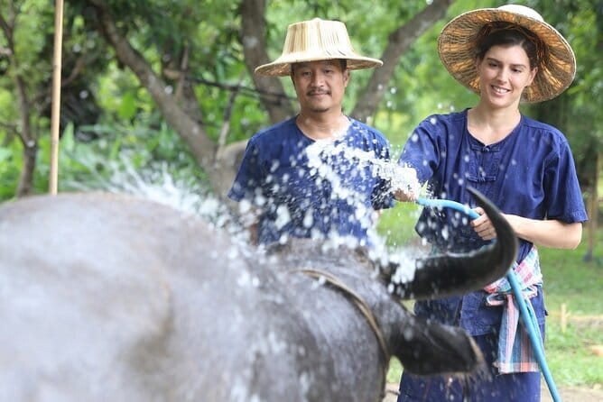 Local Farming Experience in Chiang Mai, Thailand - Practical Details and Tips