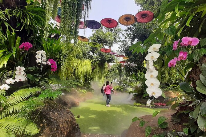 Chiang Rai Temples Day Trip from Chiang Mai - Final Thoughts