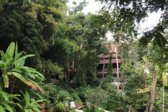 Half Day Morning Wat Pha Lat & Wat Phra That Doi Suthep Tour - Final thoughts