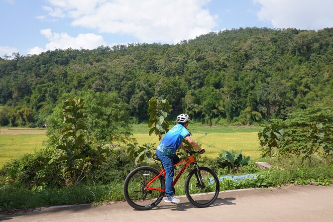Chiang Mai: Cycling Nam Phare Countrysides, Breezy-Relax & Lunch - Who Will Love This Tour?