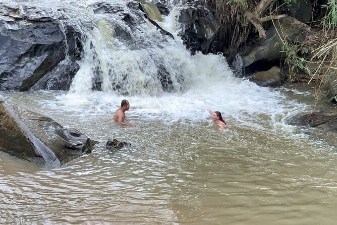 Chiang Mai Elephant Sanctuary Observation and Bamboo Rafting - A Deep Dive into the Experience