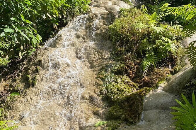 Half Day Chiang Mai Sticky Waterfall and Hotel Transfer - What Makes the Sticky Waterfalls Special?