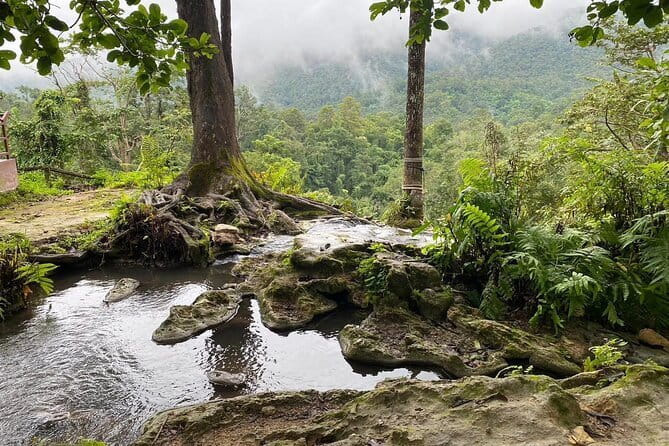 Half Day Chiang Mai Sticky Waterfall and Hotel Transfer - Good To Know