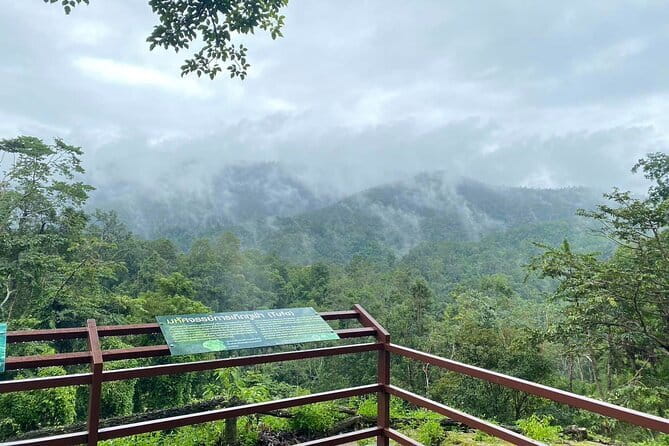 Half Day Chiang Mai Sticky Waterfall and Hotel Transfer - Who Should Consider This Tour?