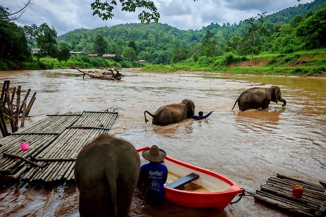 Private 3 Day Chiang Mai and Chiang Rai Tour - Exploring the Itinerary in Detail