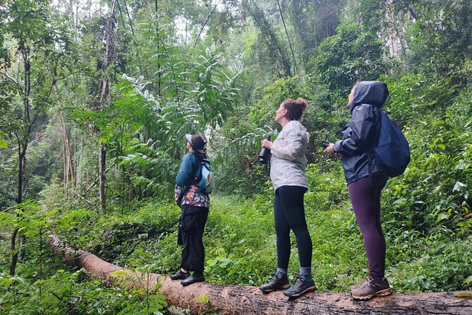 Gibbon Conservation and Cultural 2-Days Adventure - What’s Included and What You Should Consider