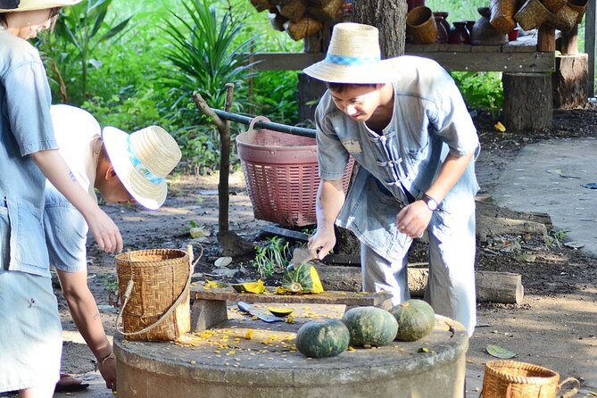 Half day Ethnic Elephant Sanctuary and Bee Farm - A Deep Dive into the Experience