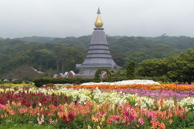 Thailands Highest Peak: Doi Inthanon National Park Experience - Discovering Doi Inthanon and Chiang Mai’s Natural and Cultural Treasures
