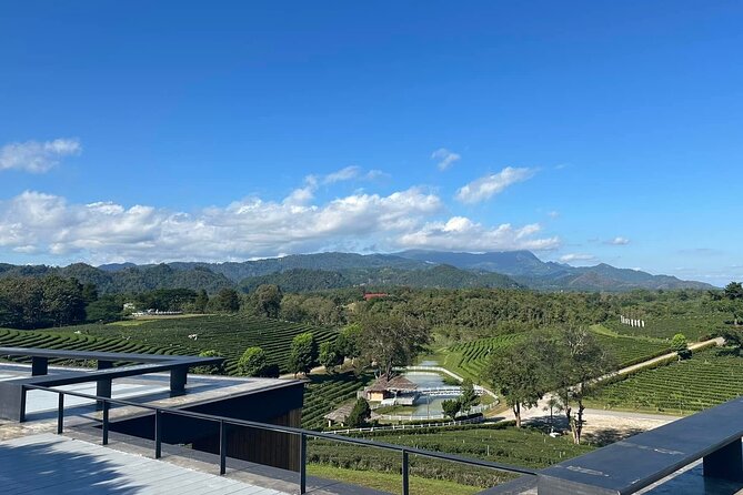 Full Day Trip Around Chiang Rai Highlights with Pick up - Final Thoughts