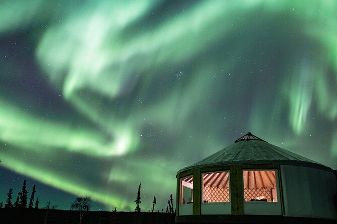 Aurora Viewing and Dinner - Why Choose This Tour?