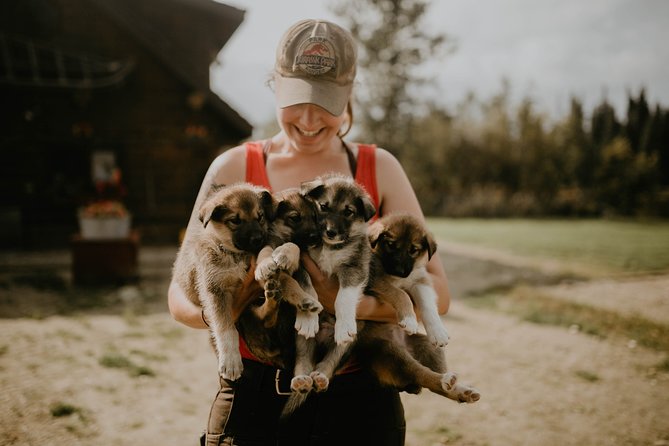 Summer Kennel Visit at Historic Trail Breaker Kennel - Why This Tour Works for You