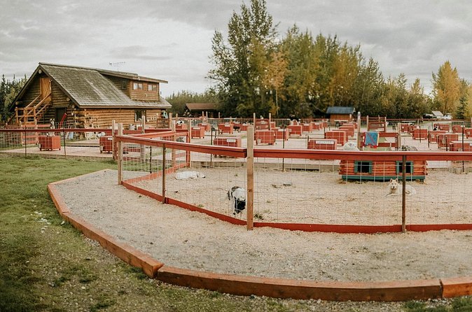 Summer Kennel Visit at Historic Trail Breaker Kennel - Frequently Asked Questions