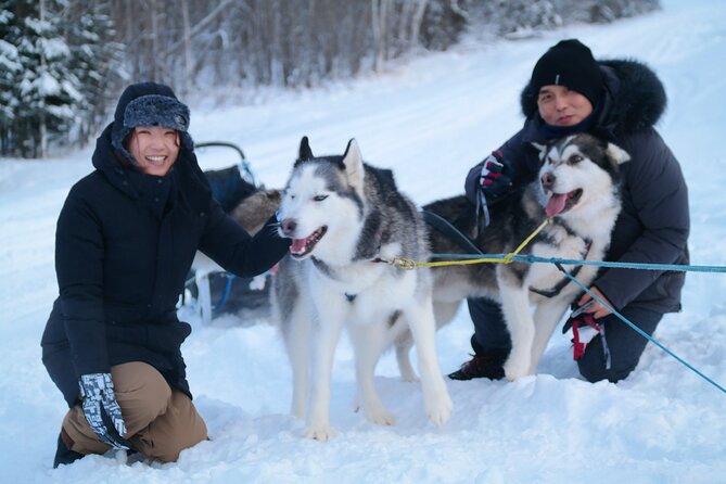 Free Pickup/Drop off: Alaskan Husky Dog Sledding with Free Photo - Why This Tour Is Worth the Price