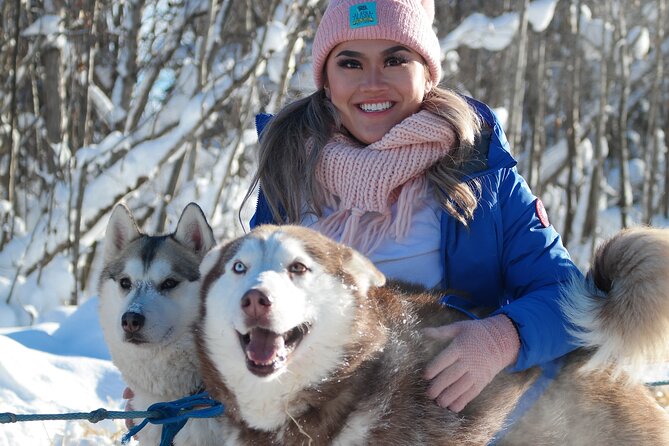 Free Pickup/Drop off: Alaskan Husky Dog Sledding with Free Photo - The Sum Up: Is It Worth It?
