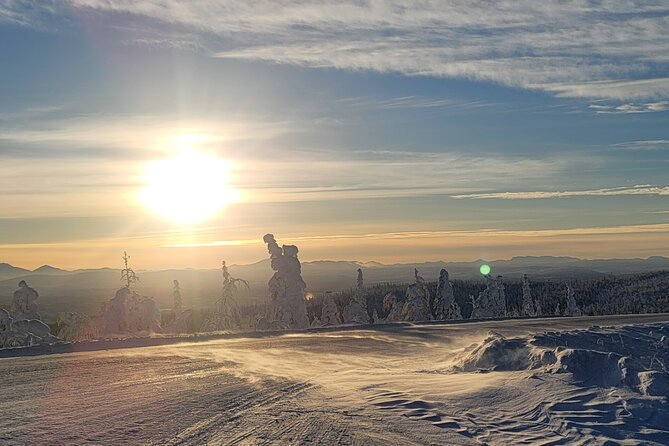 Private Arctic Circle Expedition from Fairbanks - A Close Look at the Arctic Circle Expedition