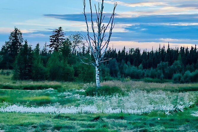 Small Group 18-hole Golf Experience in Fairbanks - Final Thoughts: Is This Experience Right for You?