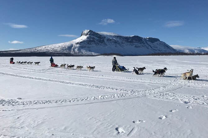 Dogsledding in the Heart of Alaska - The Sum Up: Is This Tour Worth It?