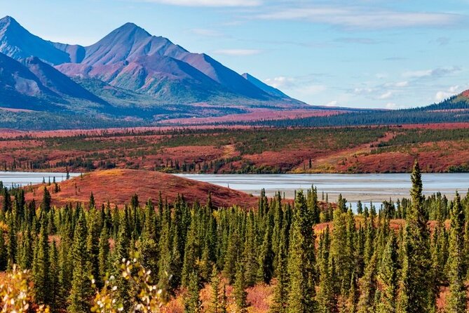 Denali Highway Overnight Excursion - Why This Tour Offers Great Value