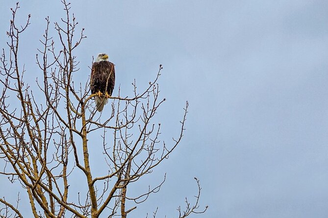 Denali Highway Overnight Excursion - Who Would Enjoy This Tour?