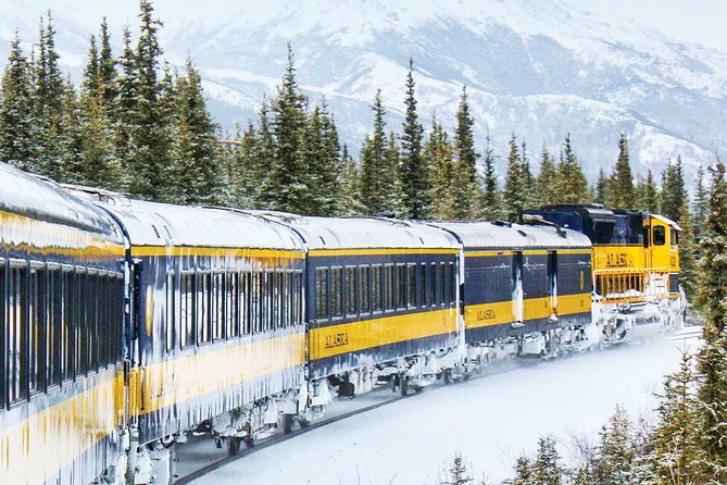 Alaska Railroad Aurora Winter Fairbanks to Anchorage One Way - Who Should Consider This Trip?