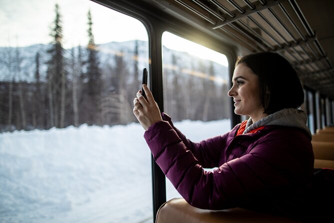 Alaska Railroad Aurora Winter Fairbanks to Anchorage One Way - In-Depth Review