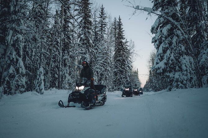 Forest Snowmobile Tour in Alaska - An In-Depth Look at the Forest Snowmobile Tour