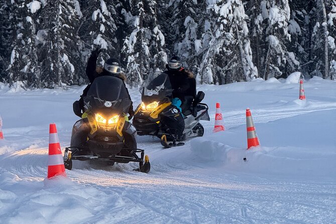 Forest Snowmobile Tour in Alaska - In The Sum Up