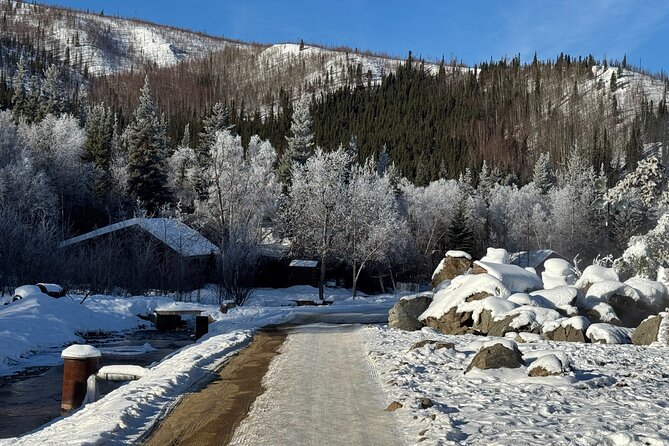 Chena Hot Springs Small Group Tour - Frequently Asked Questions