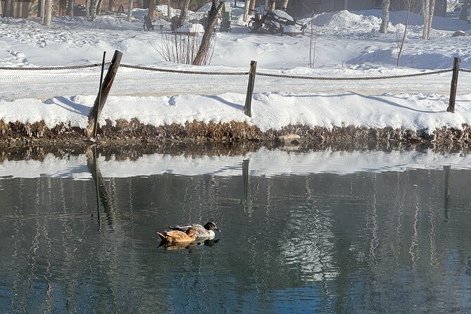 Chena Hot Springs Small Group Tour - Why Choose This Tour?