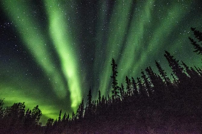Arctic Circle and Northern Lights Tour from Fairbanks - Final Thoughts: Is This Tour Right for You?