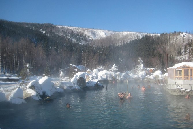 Northern Lights and Chena Hot Springs Tour from Fairbanks - Who Should Consider This Tour?