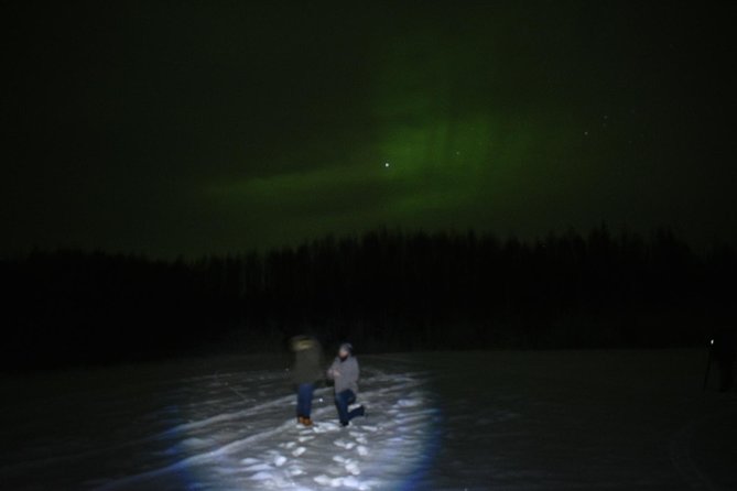 Northern Lights and Chena Hot Springs Tour from Fairbanks - Experience the Arctic Magic: Northern Lights and Chena Hot Springs Tour from Fairbanks
