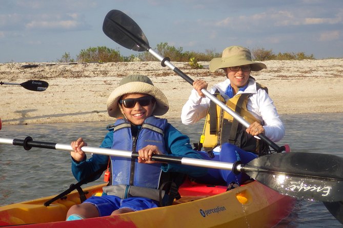 Small Group Boat, Kayak and Walking Guided Eco Tour Everglades - Review Highlights and Authentic Perspectives