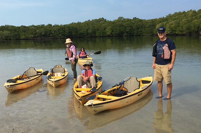Small Group Boat, Kayak and Walking Guided Eco Tour Everglades - Who Will Love This Tour?