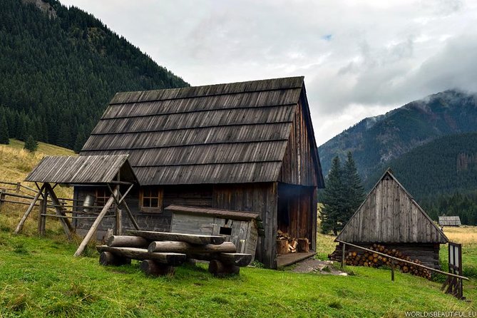 Zakopane & Thermal Springs: Private Tour - Who This Tour Is Perfect For
