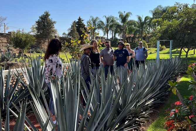 Private Tequila Tour with Local Expert - Exploring the Tequila Route: What to Expect