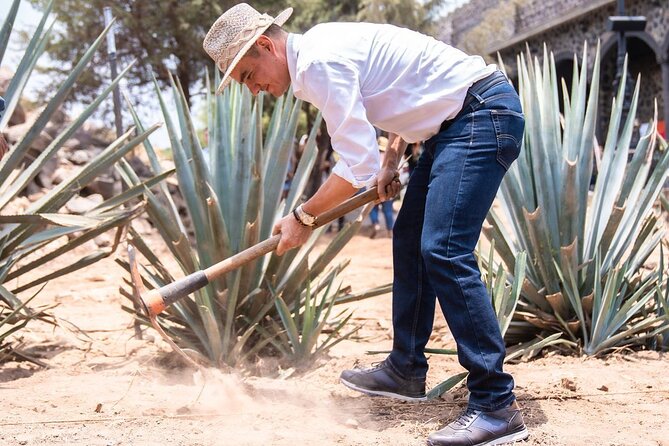 Private Full-Day Tour to Tequila Visiting El Castillo de Tequila - Final Thoughts: Is This Tour Worth It?