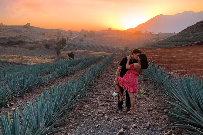Tequila tour with tasting. - Who Will Enjoy This Tour Most?