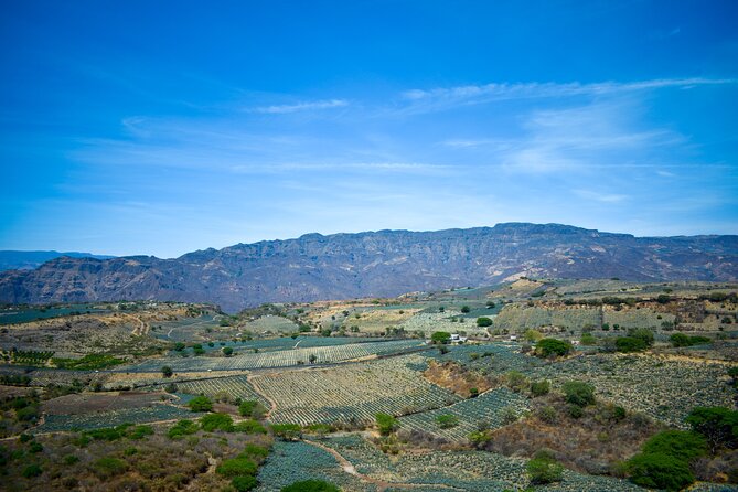 Tequila tour with tasting. - Frequently Asked Questions