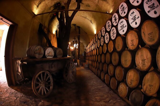 A unique tour! Visiting Hacienda Casa herradura From Guadalajara - Who should consider this tour?