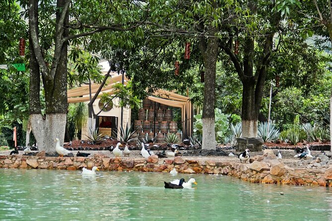 A unique tour! Visiting Hacienda Casa herradura From Guadalajara - The Sum Up: Who Will Love This Tour?