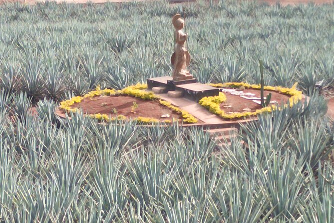 Tequila Xtremo Tour Experience - Authenticity and Value