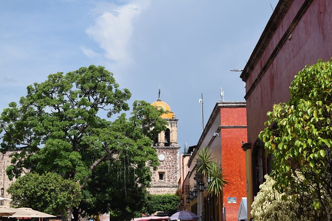 Guided Tour of Guachimontones and Tequila Distillery - Who Should Consider This Tour?
