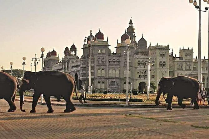 2 Day Bandipur Safari and Mysore Palace Tour - Frequently Asked Questions