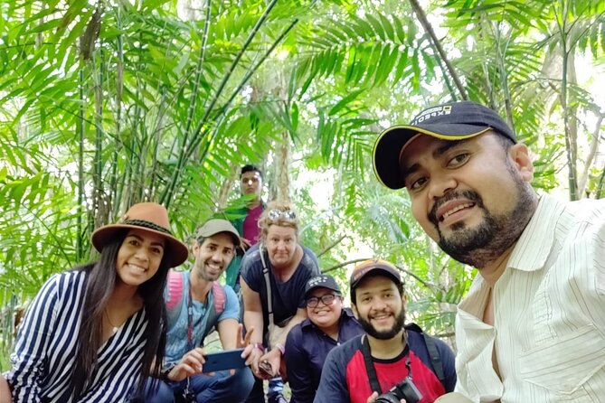 Full-Day Shared Tour to Tikal from Flores Peten with Lunch - The Sum Up