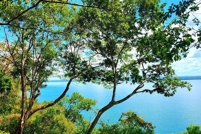 Lake Peten Itza, El Chechenal Beach and El Rey Canek Viewpoint Private Tour - A Deep Dive into the Tour Experience