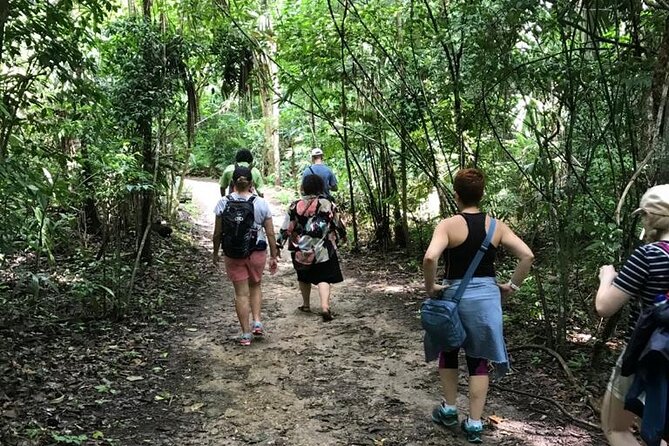 Tikal Private Day Tour Maya Adventure from Flores - Final Thoughts