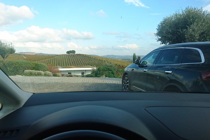 Private Transfer Between Lisbon, Porto, or Algarve - Why This Private Transfer Stands Out