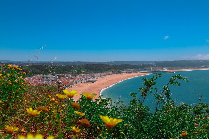 Lisbon: Sintra, Pena Palace, Nazaré & Fátima Small Group Tour - Introduction: Why Choose This Tour?